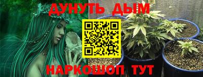 ПСИЛОЦИБИНОВЫЕ ГРИБЫ Беслан