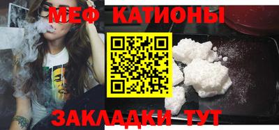 прущие грибы Бийск